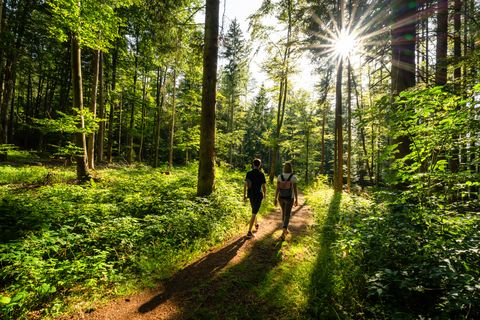 Wanderung 