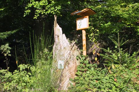 Naturlehrpfad