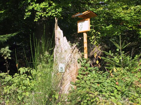 Naturlehrpfad