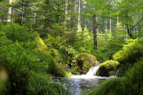 Wanderparadies Schömberg