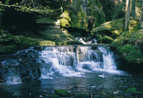 Bad Liebenzell - Monbachtal